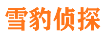 邱县市私家侦探